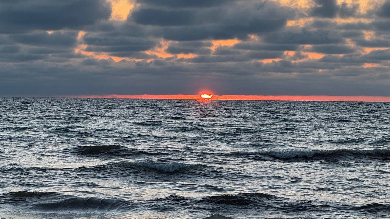 Photo of Others in Indian Rocks Beach