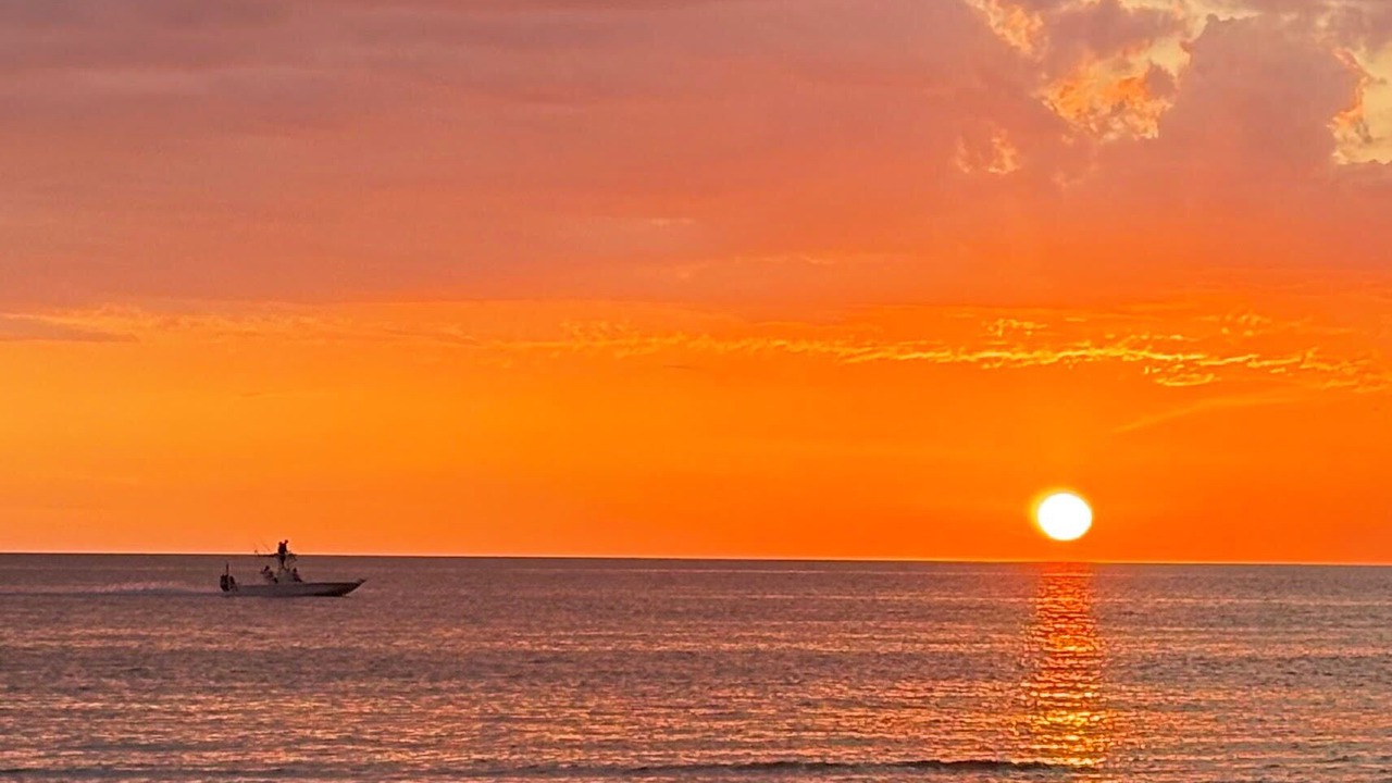Photo of Others in Indian Rocks Beach