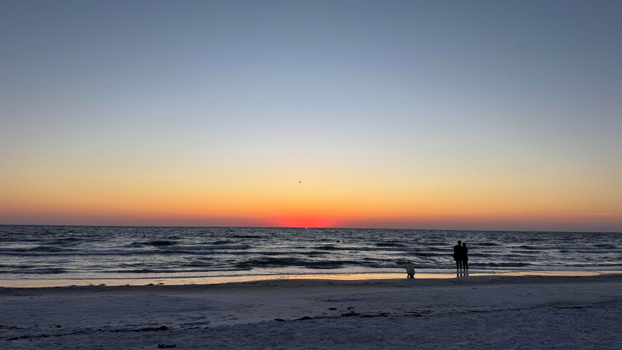 Photo of Others in Indian Rocks Beach