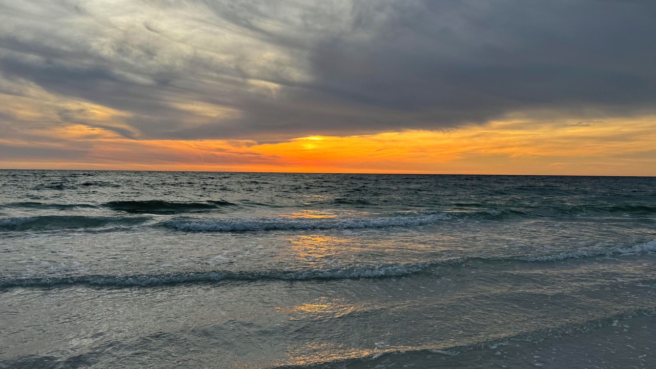 Photo of Others in Indian Rocks Beach