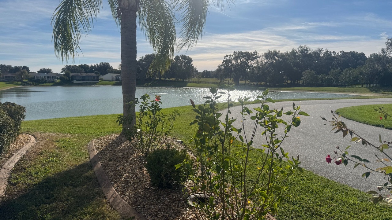 Photo of Outdoor in Chatham