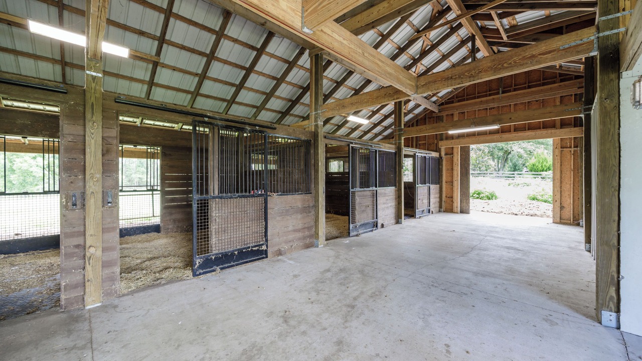 Photo of Outdoor in Alachua