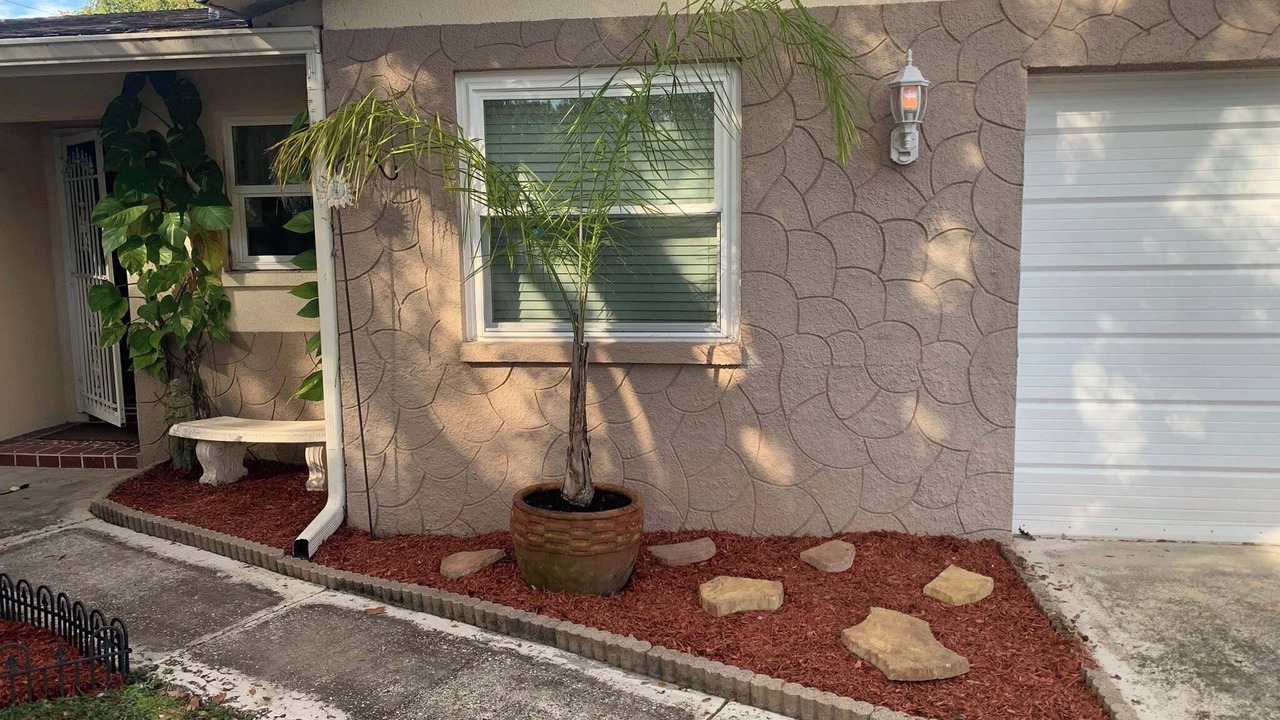 Photo of Outdoor in Palm Harbor