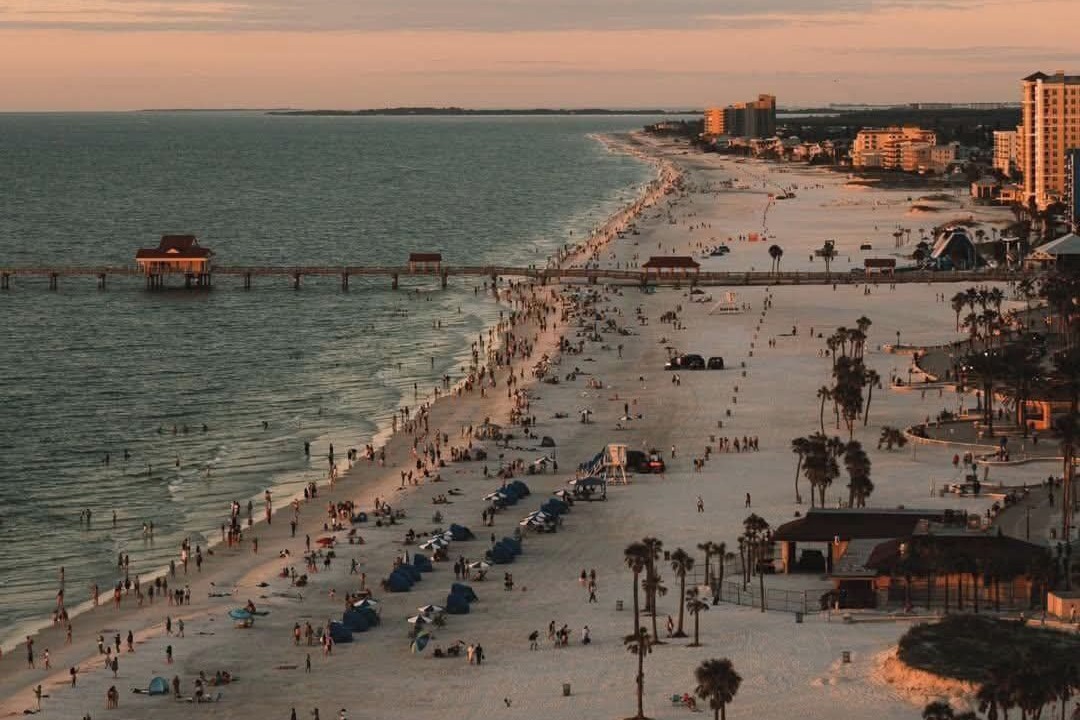 Photo of Others in Palm Harbor