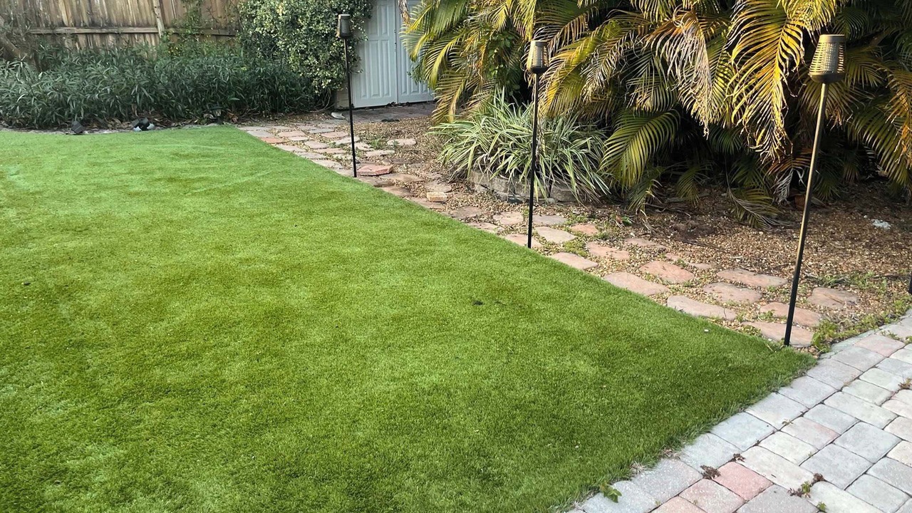 Photo of Outdoor in Palm Harbor