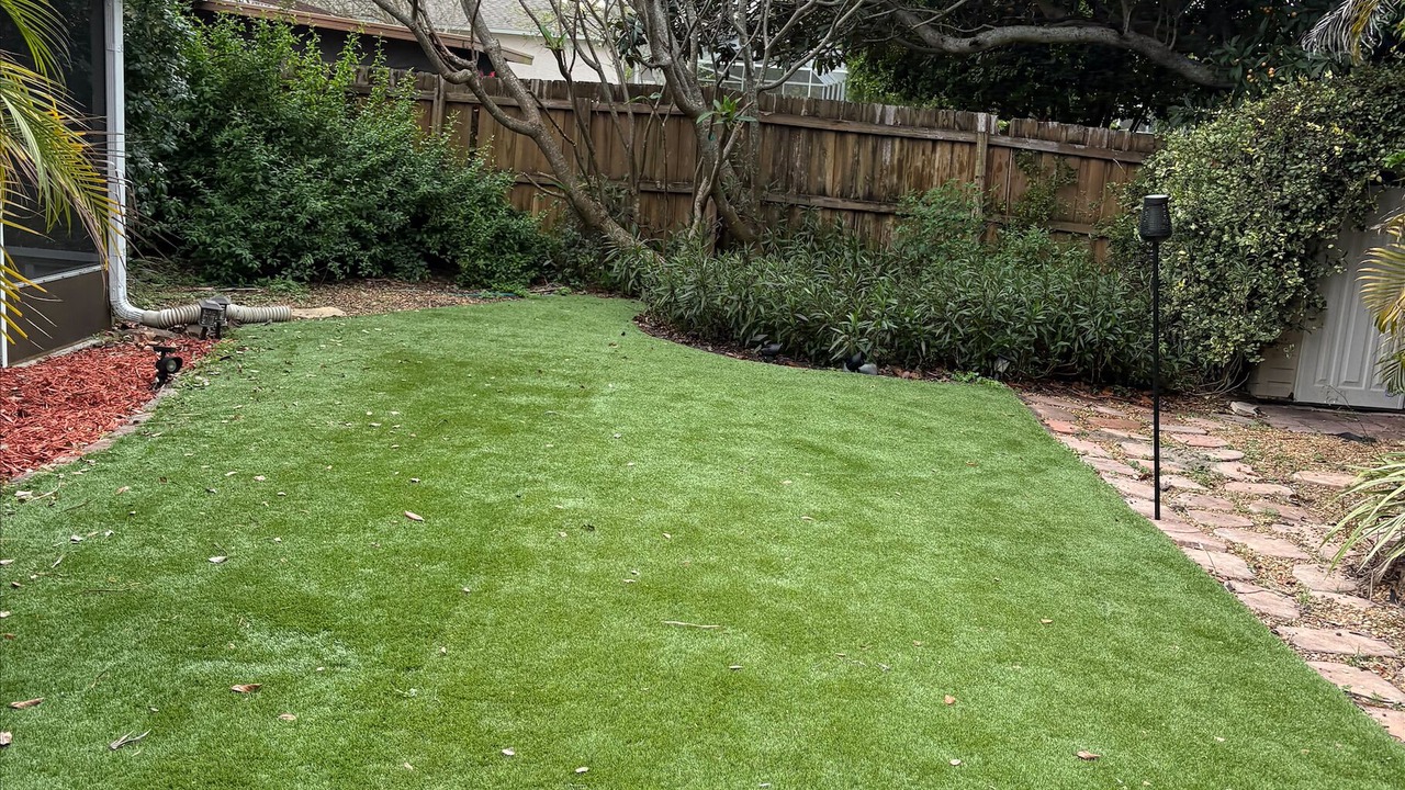 Photo of Outdoor in Palm Harbor