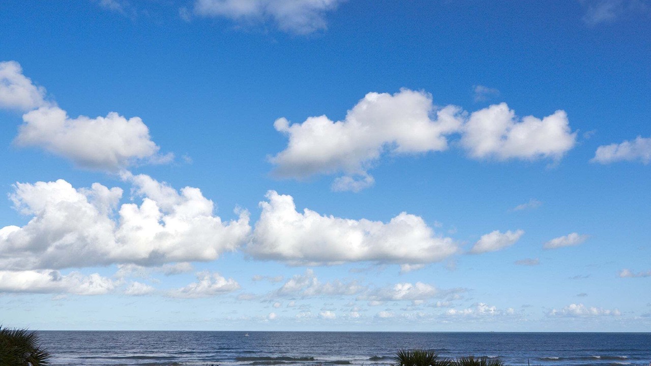 Photo of Others in Cape Caneveral Beach Gardens