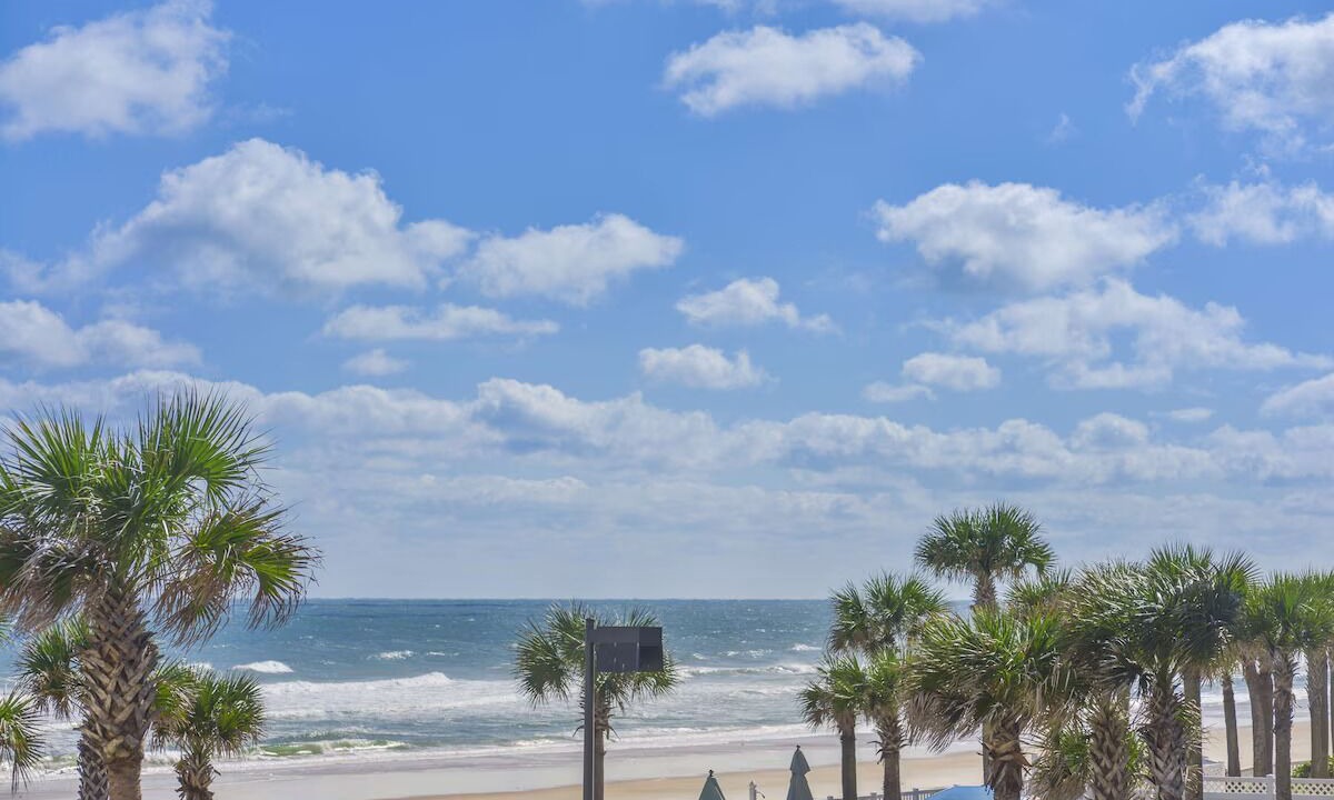 Photo of Outdoor in Seminole Park
