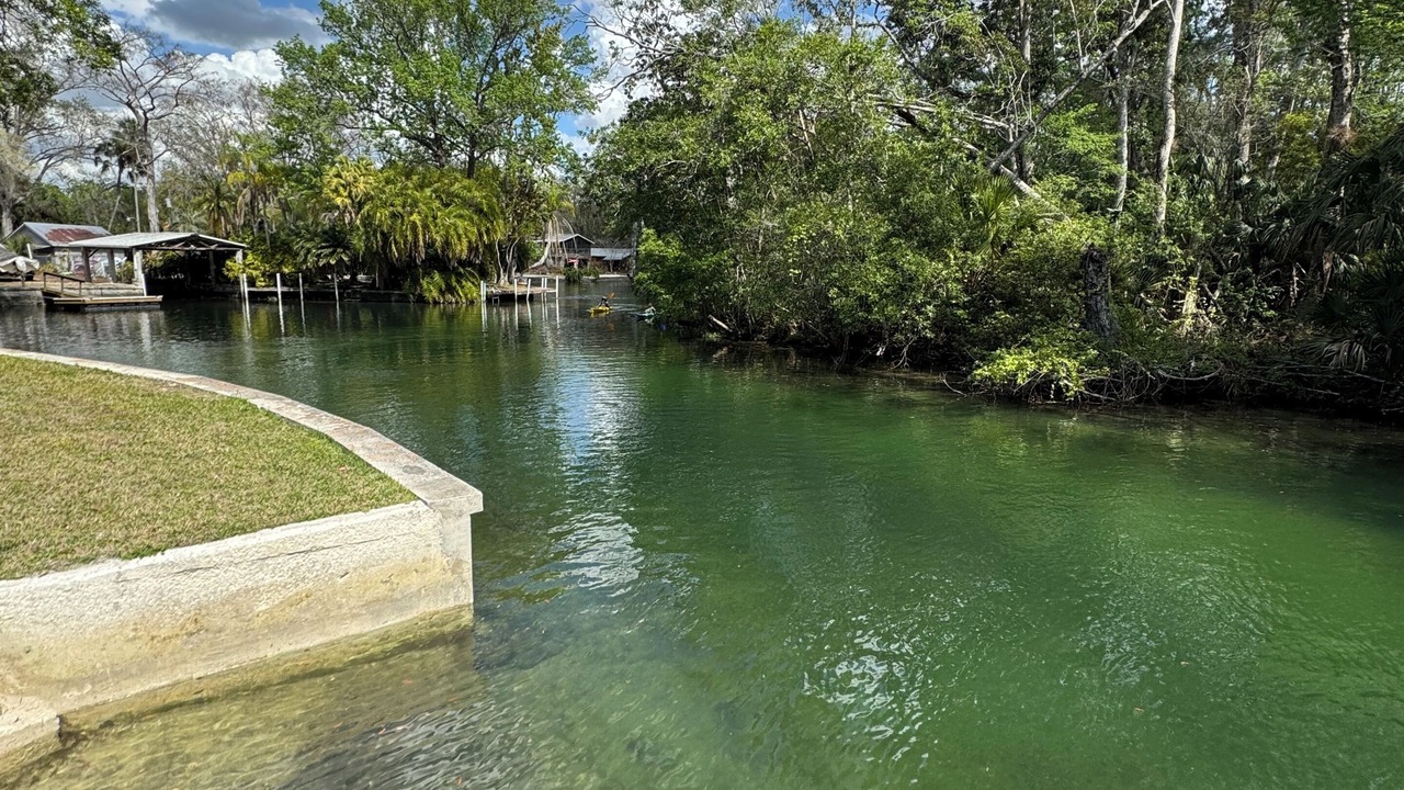 Photo of Others in Weeki Wachee Gardens