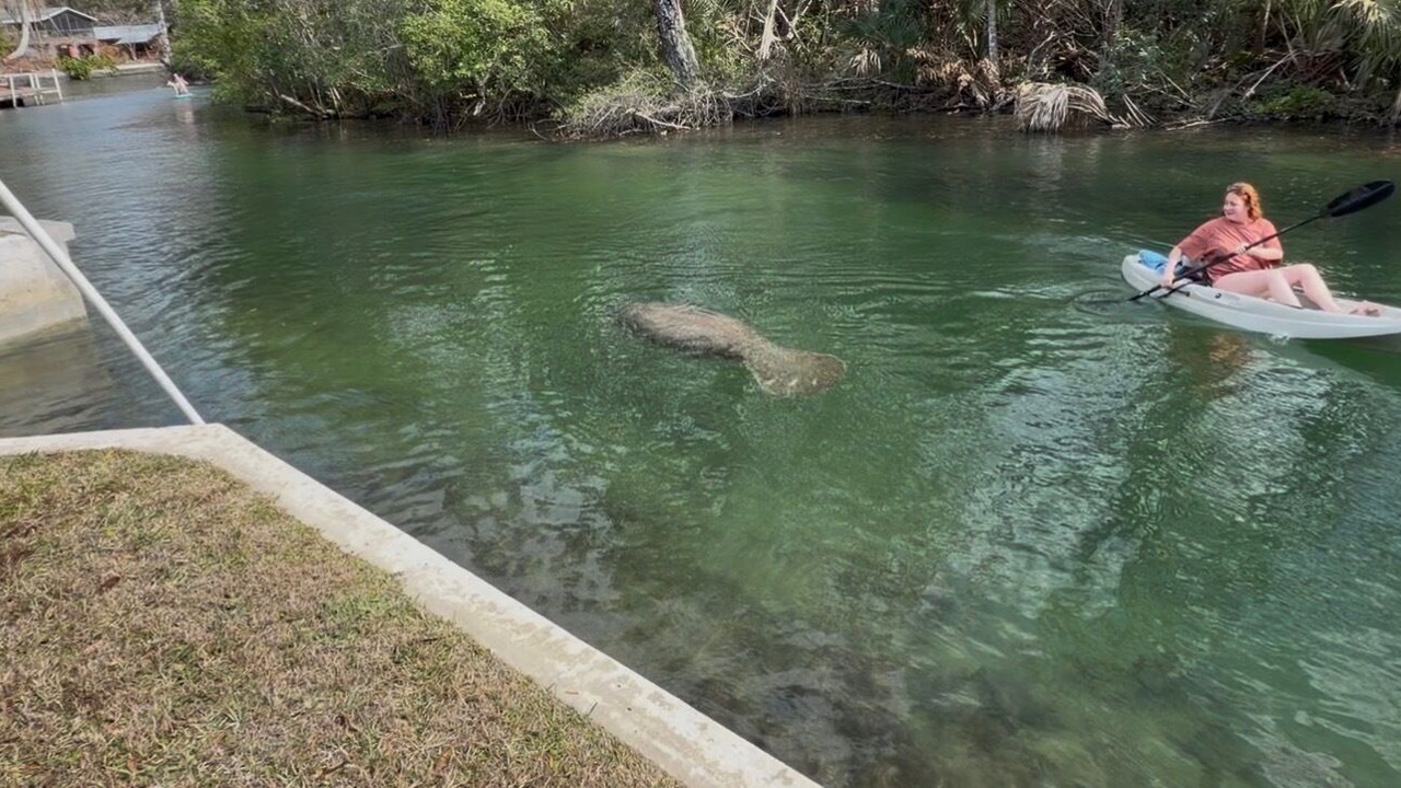 Photo of Others in Weeki Wachee Gardens
