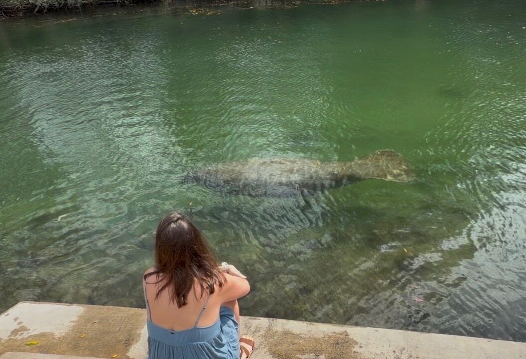 Photo of Others in Weeki Wachee Gardens