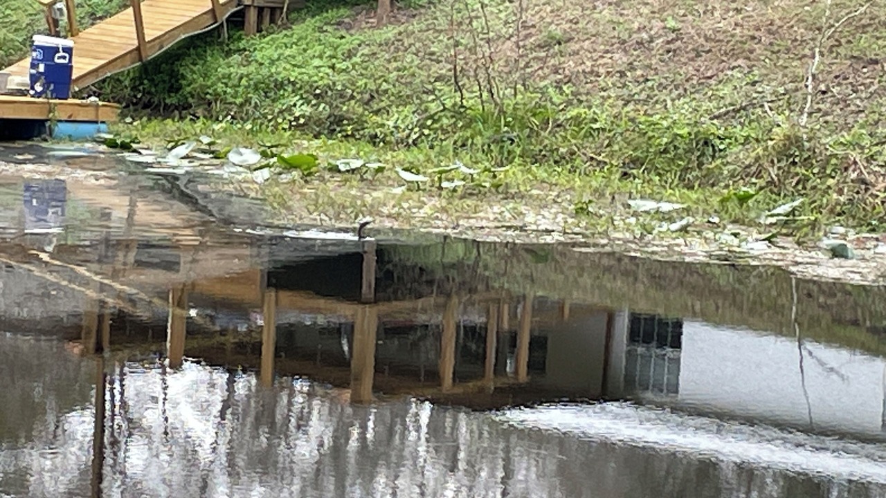Photo of Others in Bushnell