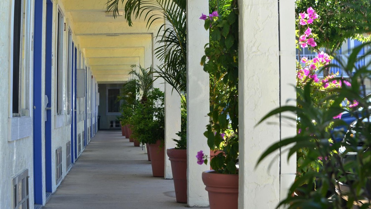 Photo of Outdoor in Bradenton