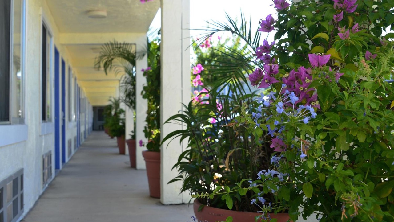 Photo of Outdoor in Bradenton