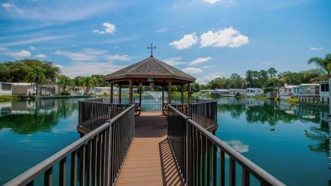 Photo of Outdoor in Zephyrhills South