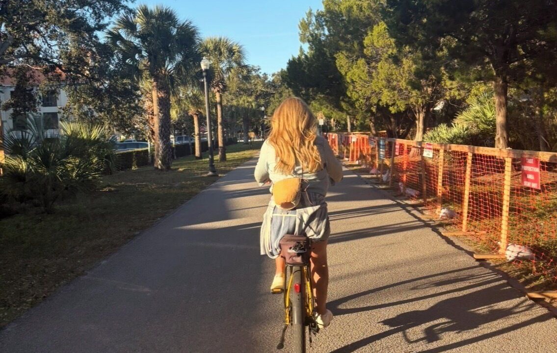 Photo of Others in Palm Harbor