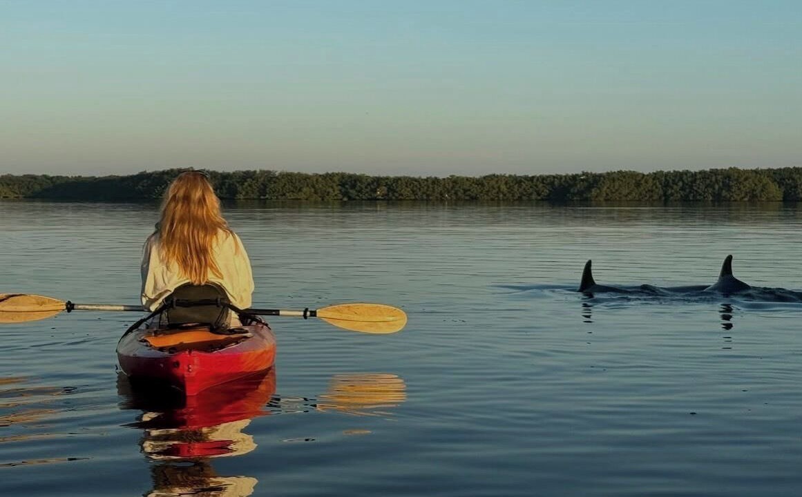 Photo of Others in Palm Harbor