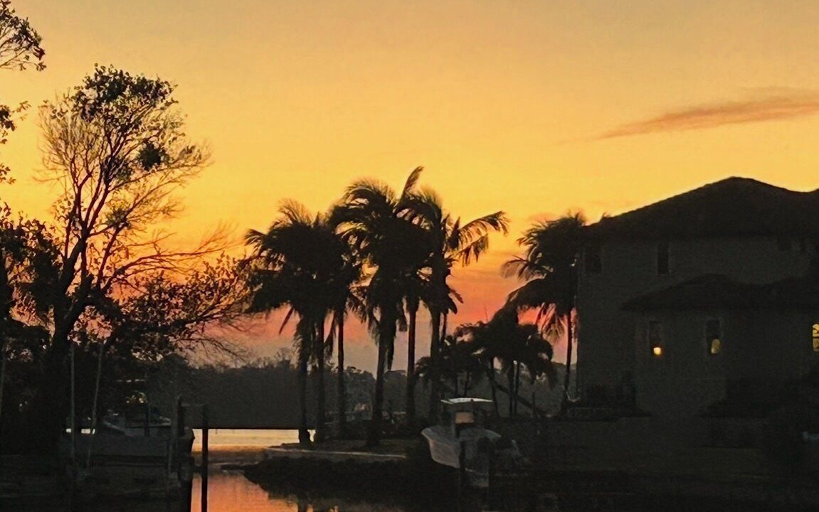 Photo of Others in Palm Harbor