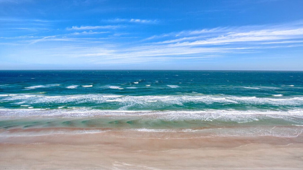 Photo of Others in Daytona Beach