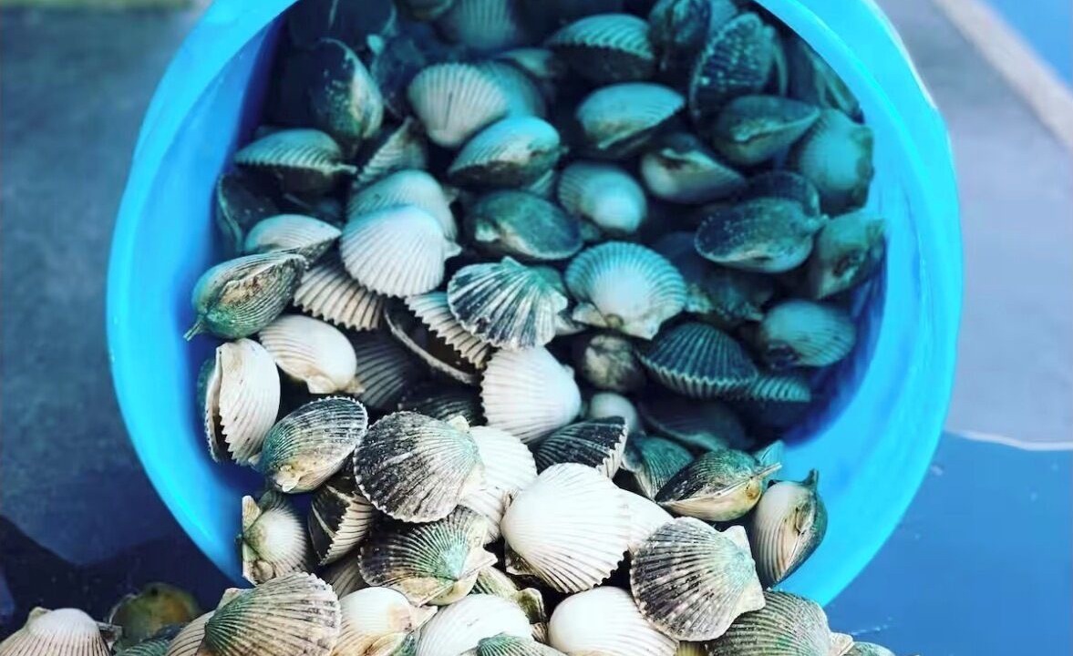 Photo of Others in Crystal River