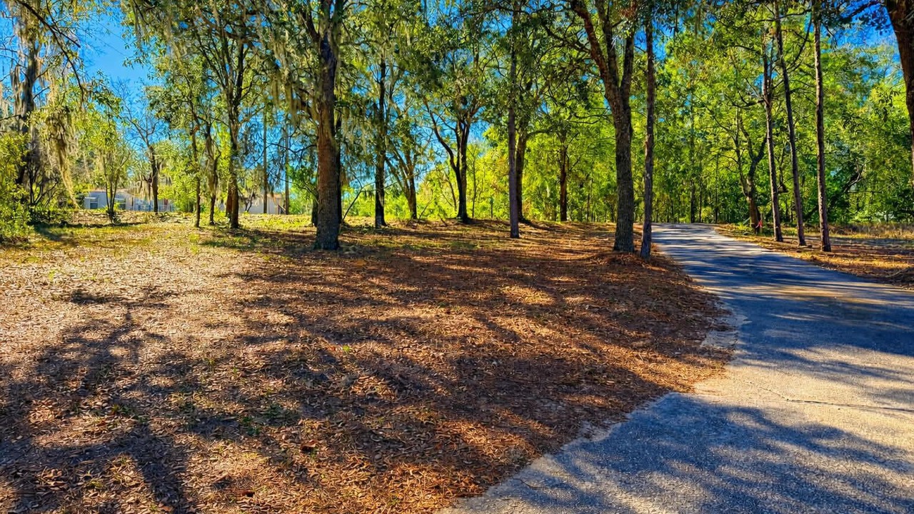 Photo of Others in Keystone Heights