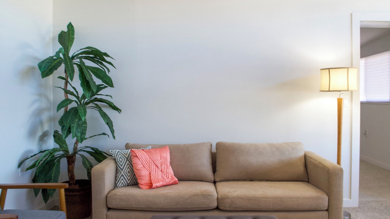 Photo of Livingroom in Oldsmar