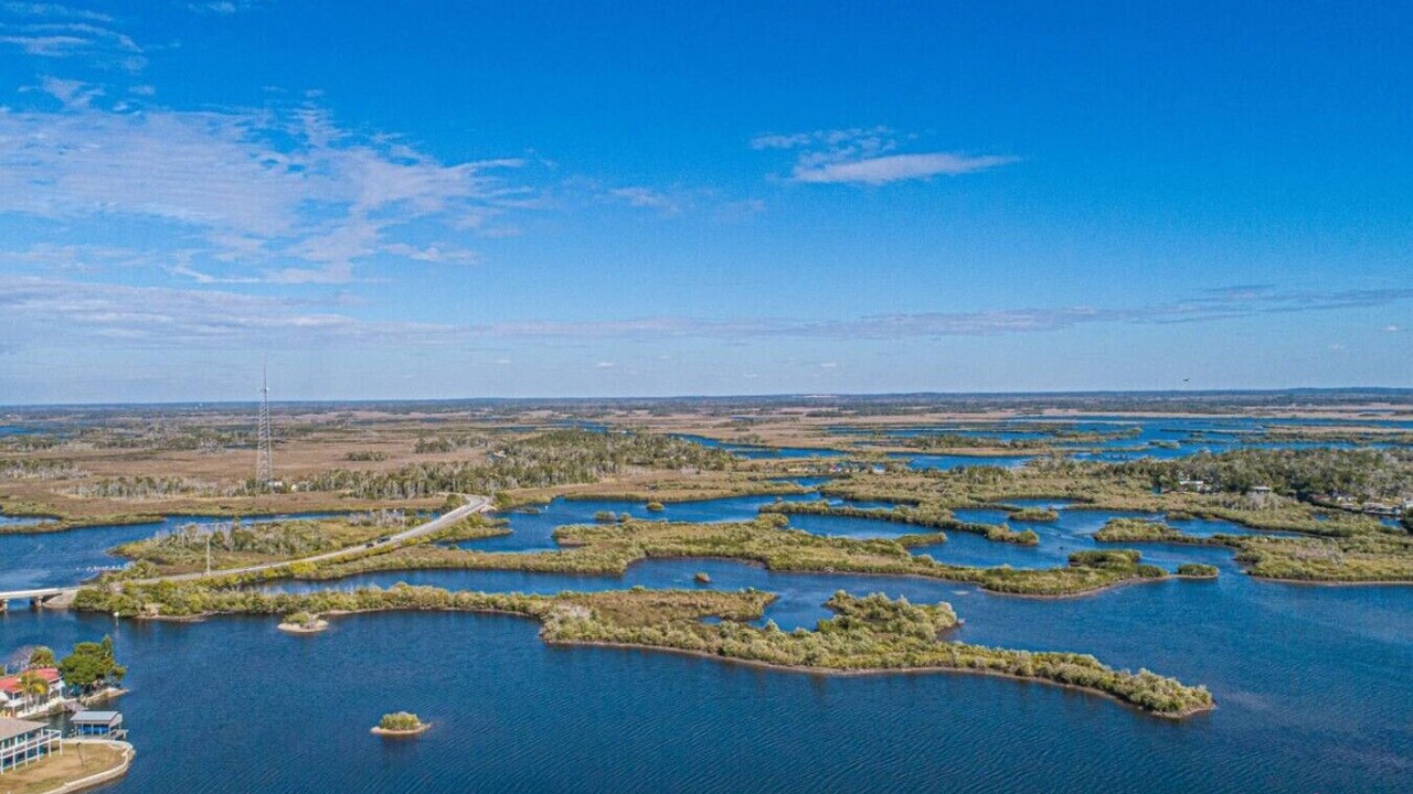 Photo of Others in Crystal River