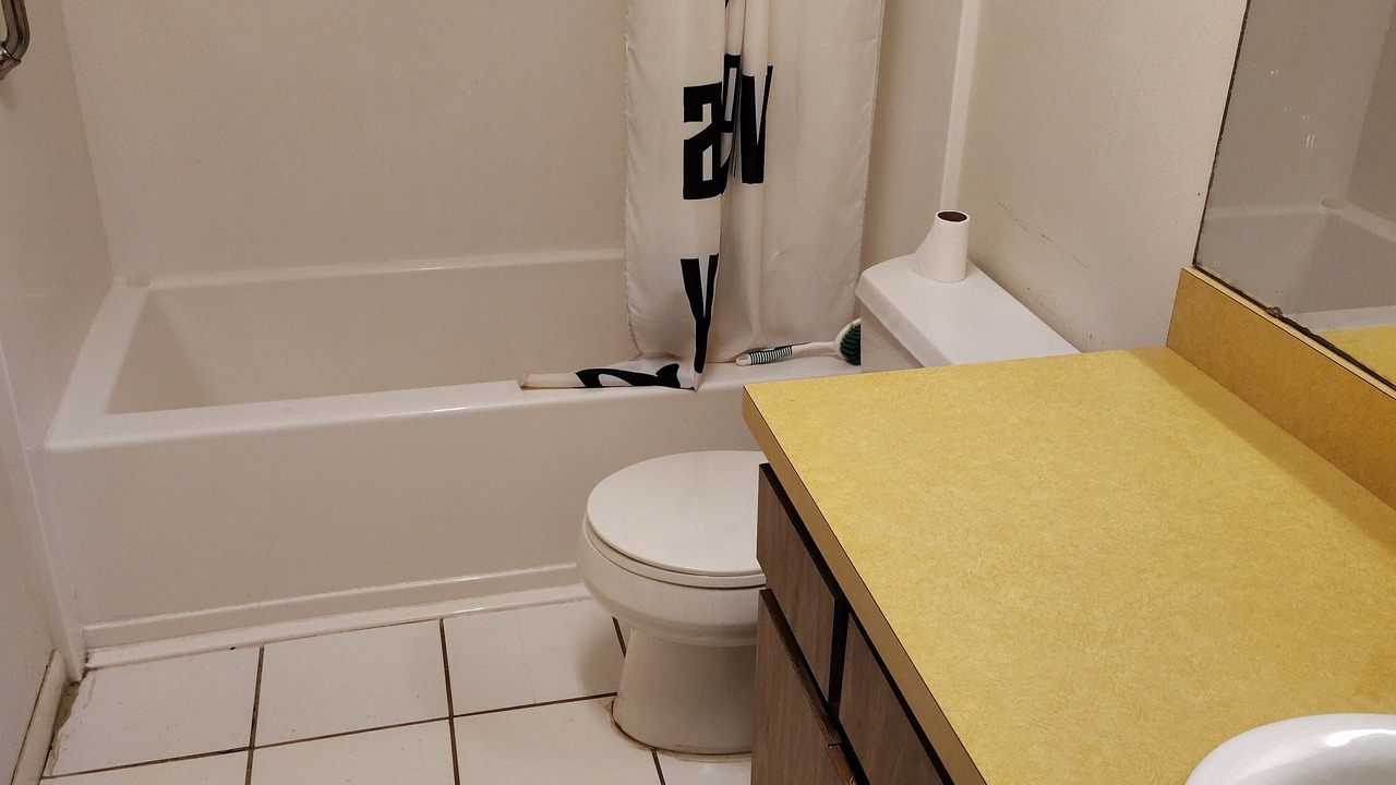 Photo of Bathroom in Bearss Plaza
