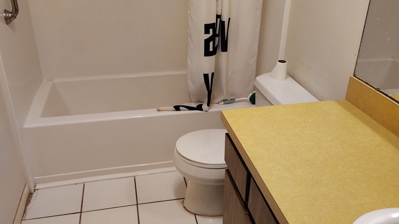 Photo of Bathroom in Bearss Plaza