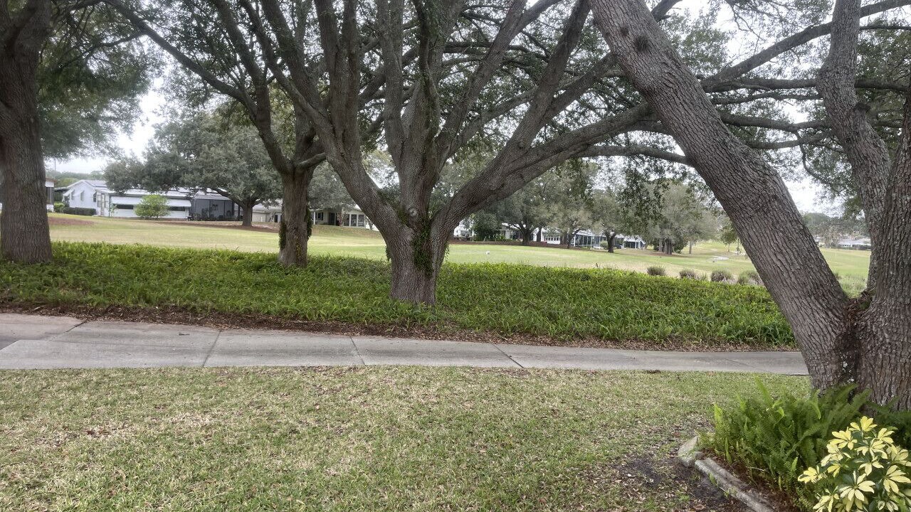 Photo of Outdoor in The Villages