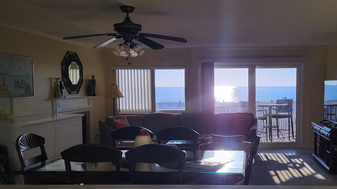 Photo of Others in Indian Shores