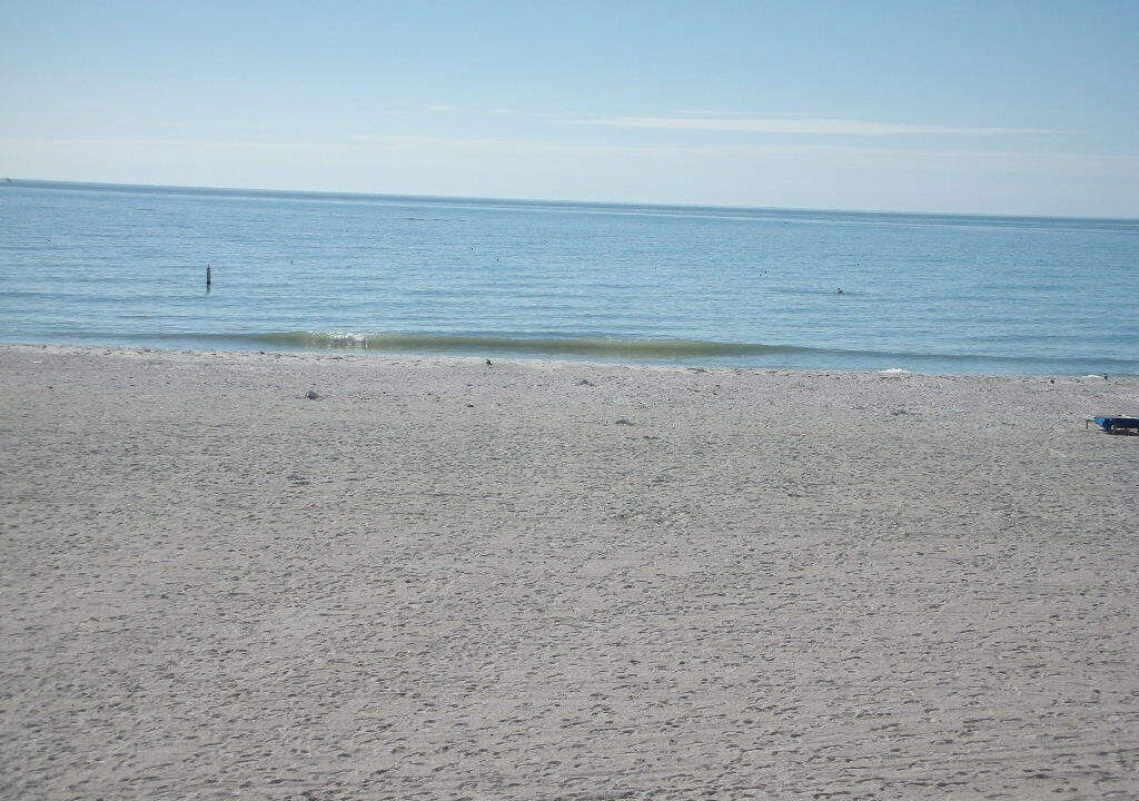 Photo of Others in Indian Shores