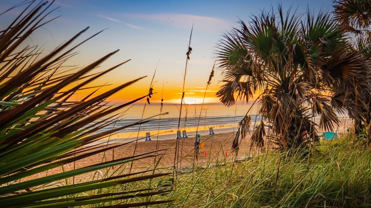 Photo of Others in Flagler Beach