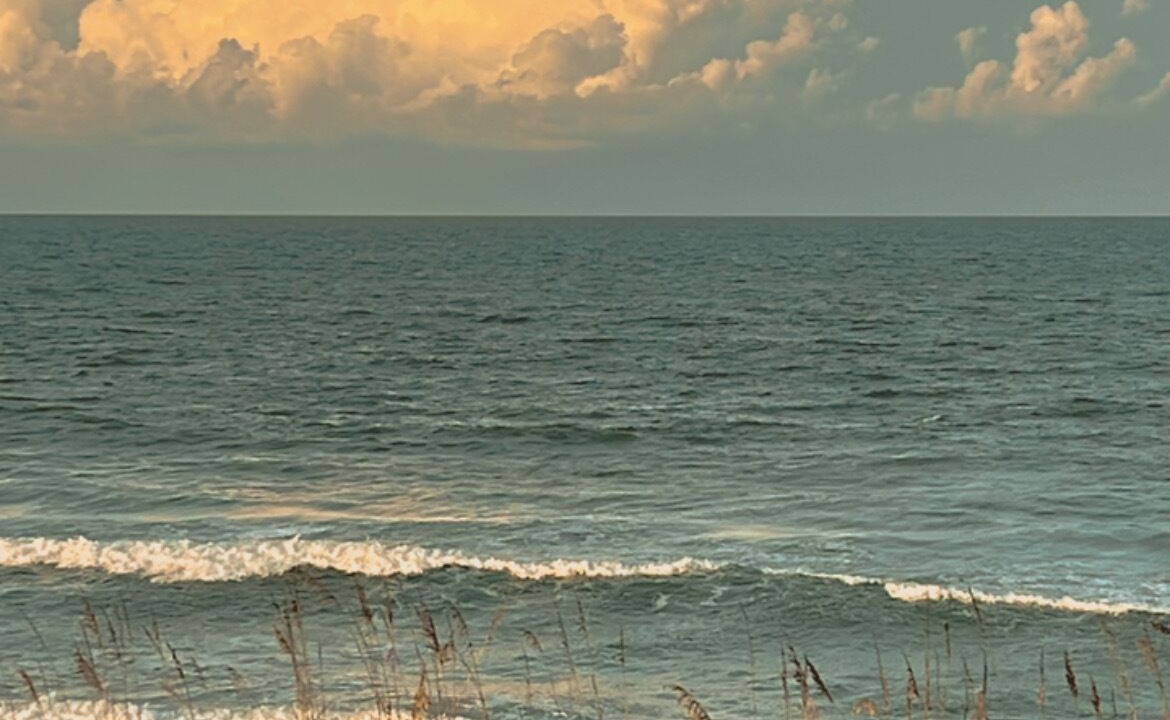 Photo of Others in Flagler Beach