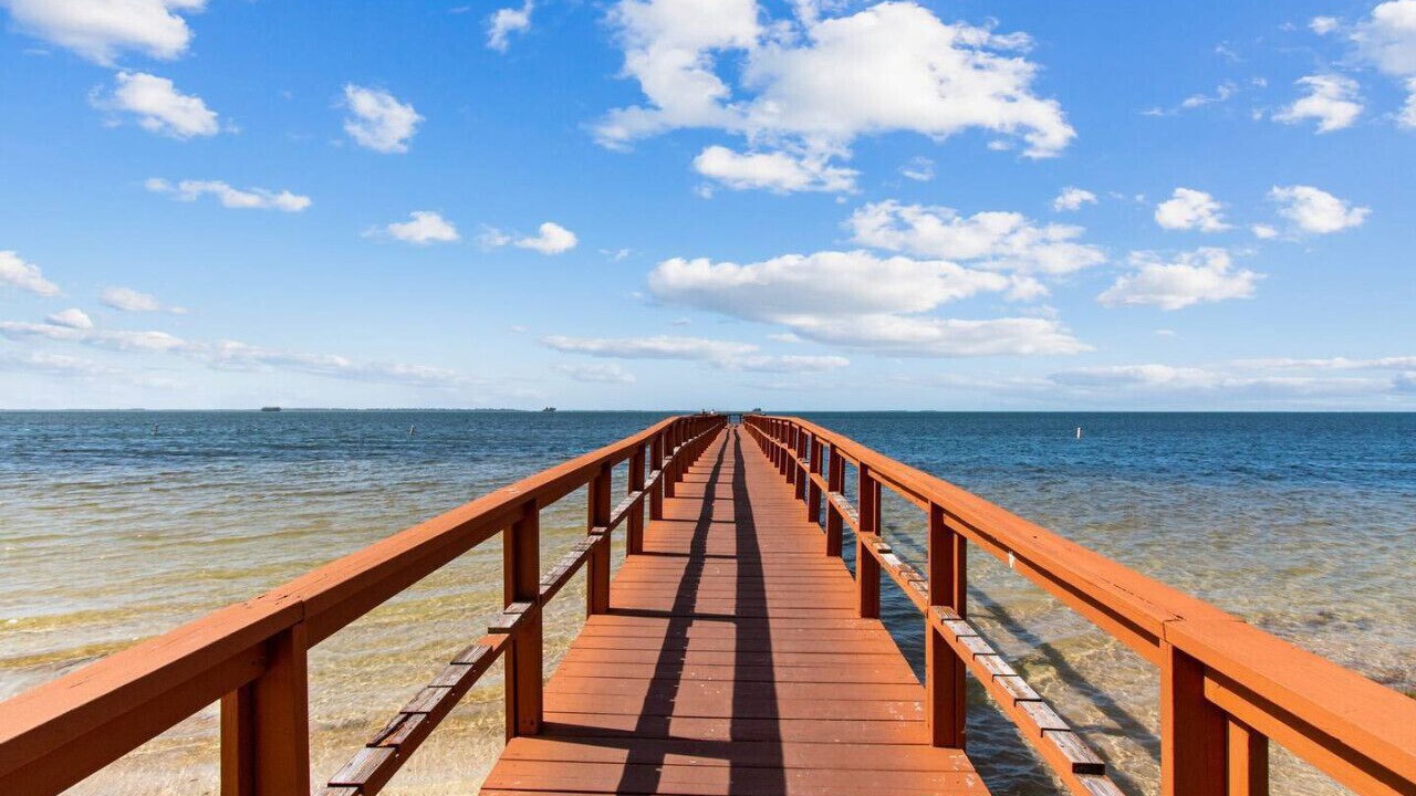 Photo of Others in Palm Harbor