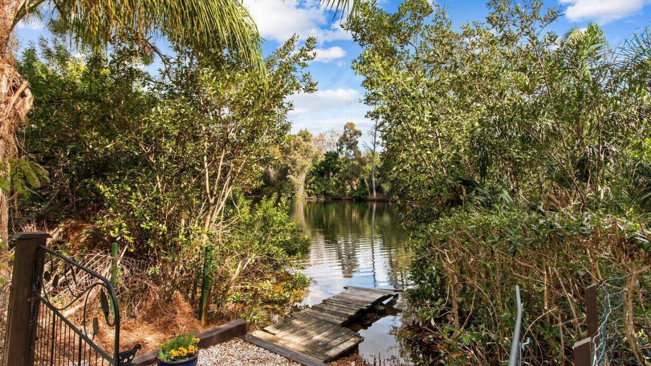 Photo of Outdoor in Palm Harbor