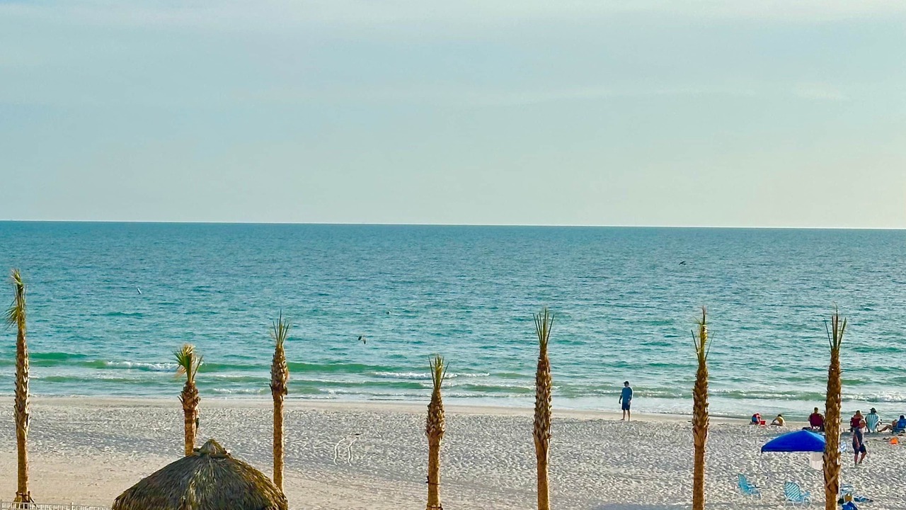 Photo of Others in Redington Shores