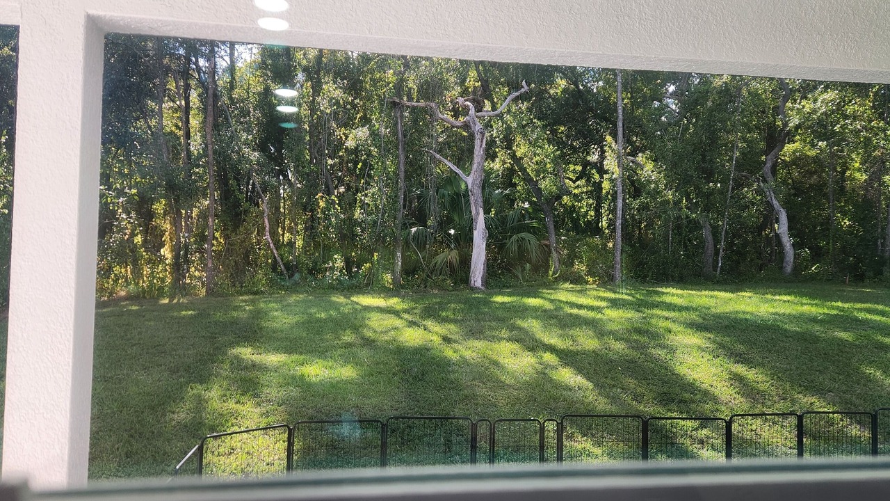 Photo of Others in Citrus Springs