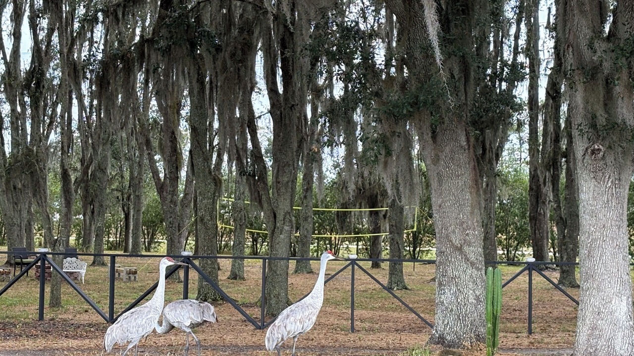 Photo of Others in Clermont