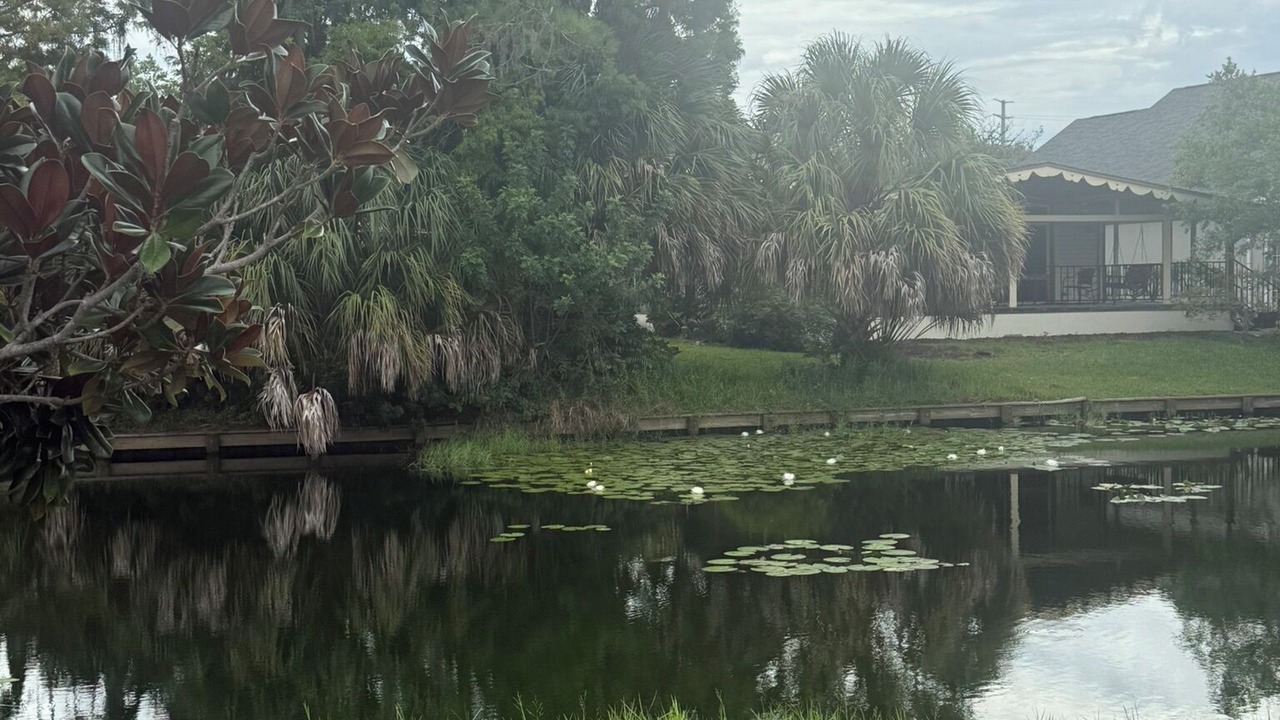 Photo of Outdoor in Lutz