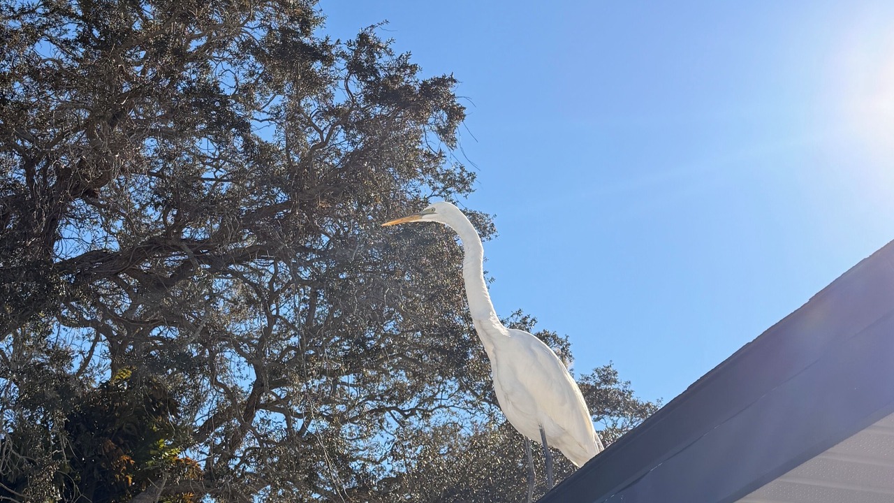 Photo of Others in Clearwater