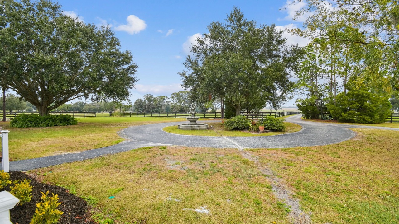 Photo of Outdoor in Dade City