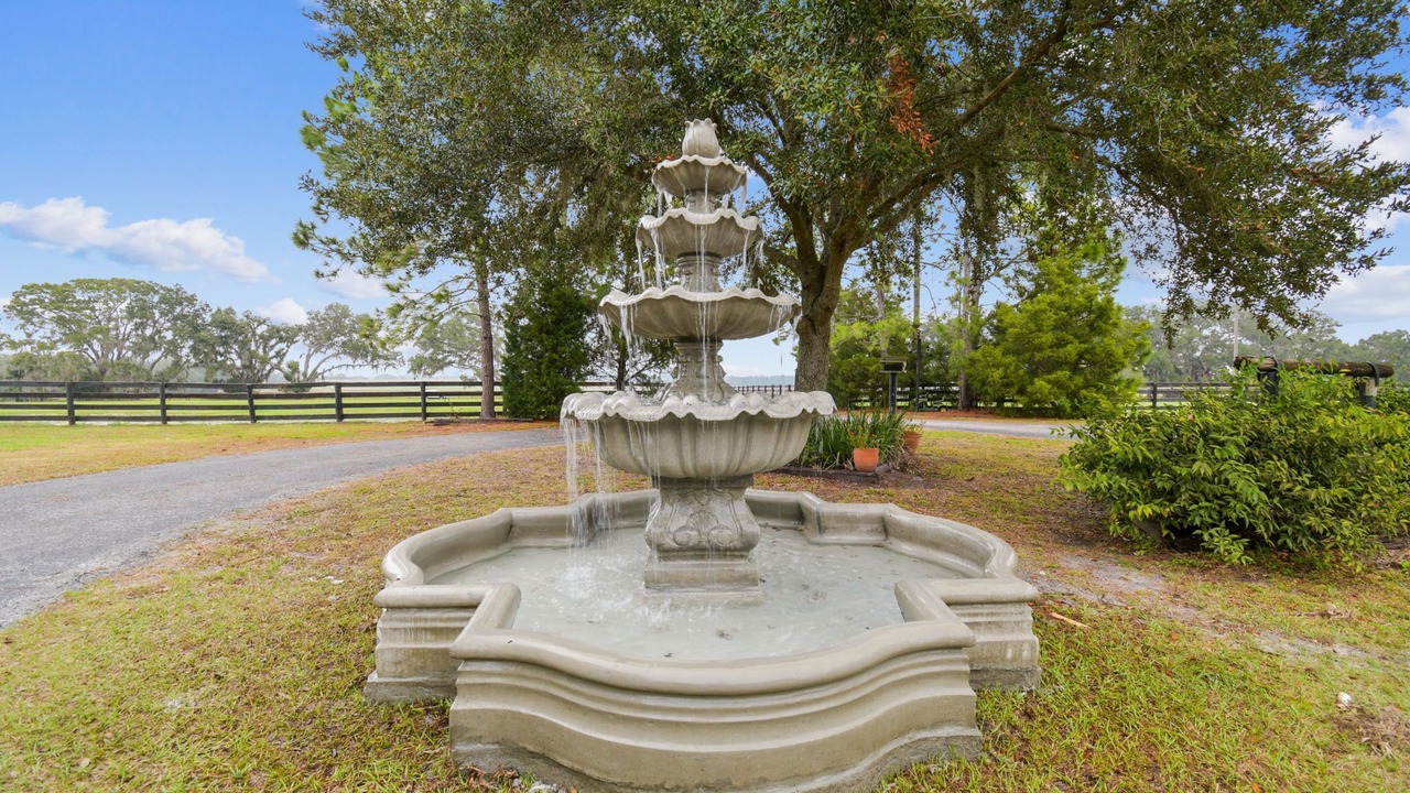 Photo of Outdoor in Dade City