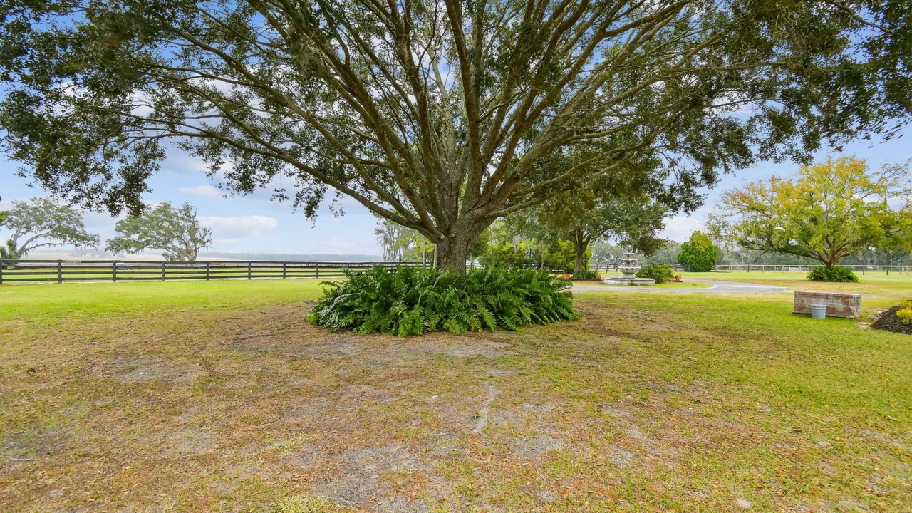 Photo of Outdoor in Dade City
