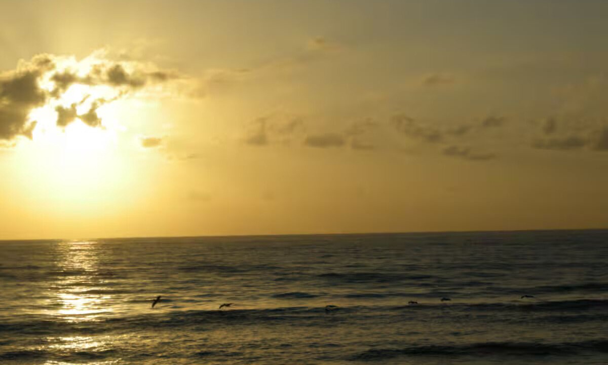 Photo of Others in Flagler Beach