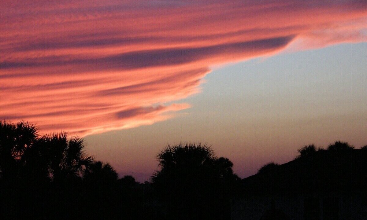 Photo of Others in Flagler Beach