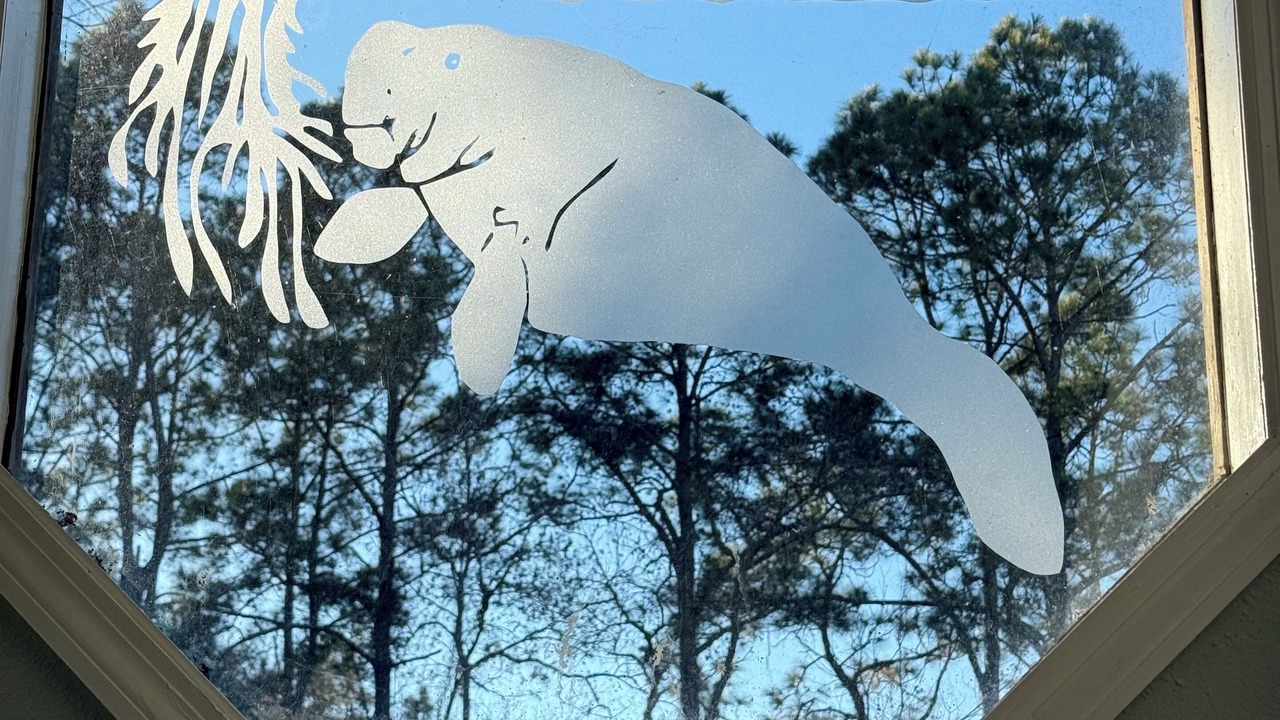 Photo of Others in Chassahowitzka