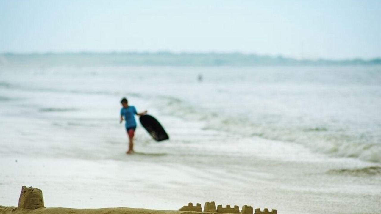 Photo of Others in Ocean Woods