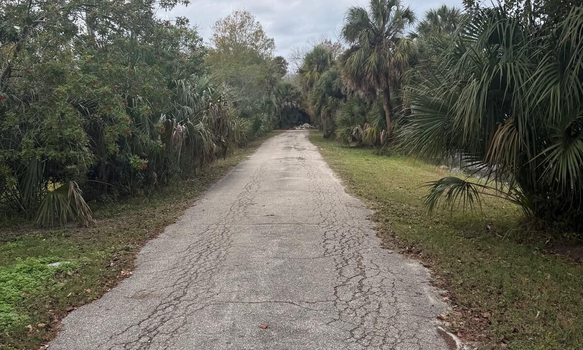 Photo of Others in Port Richey