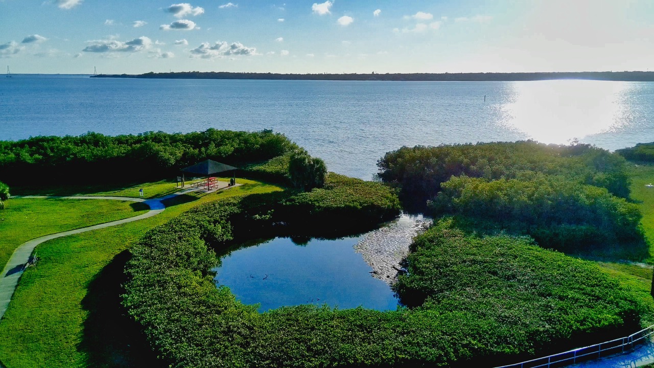 Photo of Others in Oldsmar